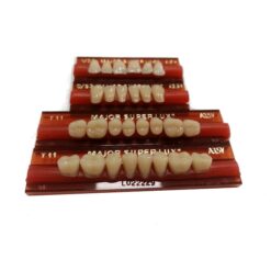 Juego de Dientes Acrílicos para prótesis Major Super Lux