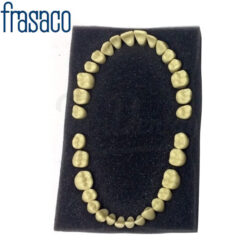 Juego 32 Dientes para Tipodonto Frasaco AG-3