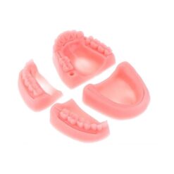 Modelo para práctica de sutura