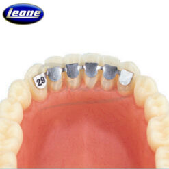 Retenedores Canino-Canino Inferior Leone 2 Uds