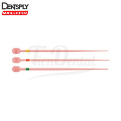 TruNatomy Conform Fit Gutapercha Dentsply 60uds