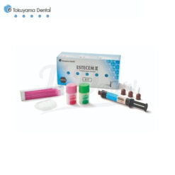 Estecem II Cemento de resina de doble curado Kit Universal