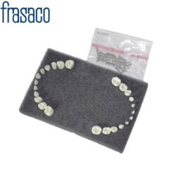 Juego 24 Dientes para Tipodonto Infantil Frasaco AK-6