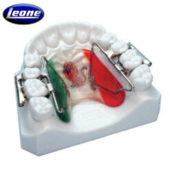 Distalizador Rápido de los Molares First Class Leone
