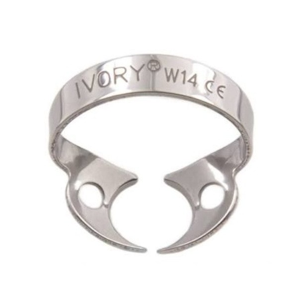 Clamps Ivory 1 ud - W14_Parcialmente_erupcionado