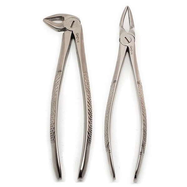 Fórceps Raíces GNZ