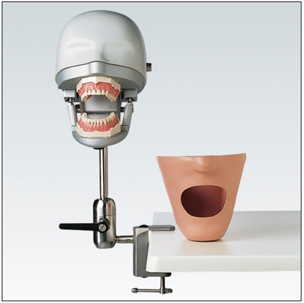 P-6/3 PT Dispositivo para Ejercicios Odontológicos Frasaco