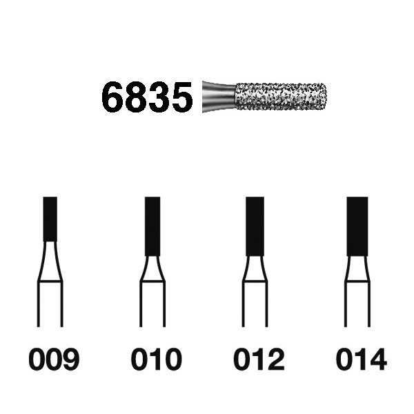 6835.314 Fresa Diamante Turbina 5 Uds