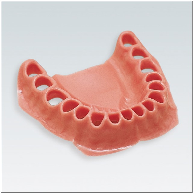 AG-3 WUK Recambio Encía Mandíbula para Tipodonto Frasaco AG-3