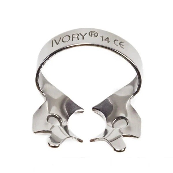 Clamps Ivory 1 ud - 14_Parcialmente_erupcionados,_el_clamp_más_popular