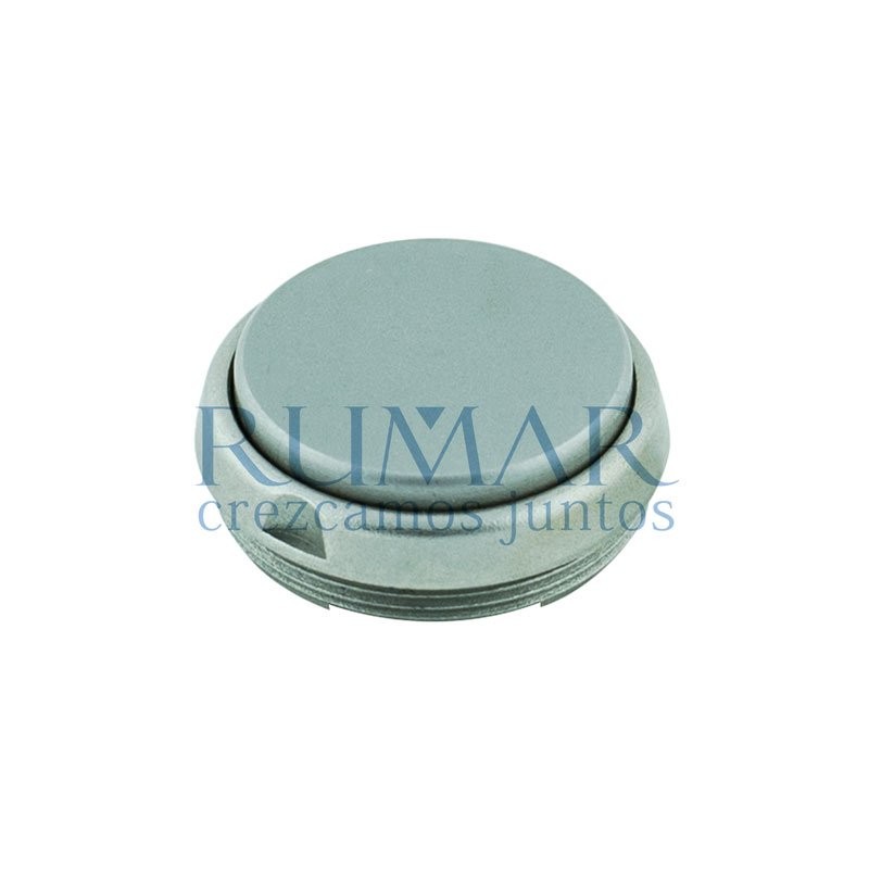 Tapa botón para turbinas W&H Synea TA-98 (hasta 2009) (2 muescas)