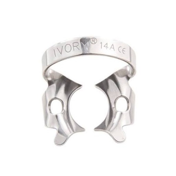Clamps Ivory 1 ud - 14A_Parcialmente_erupcionados,_grande