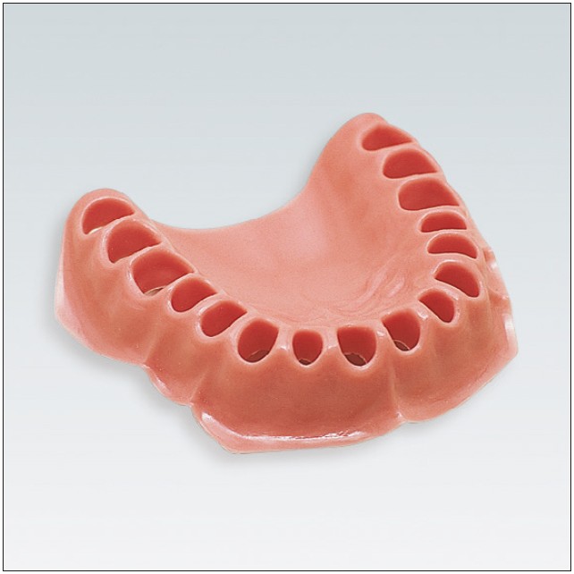 AG-3 WOK Recambio Encía Maxilar para Tipodonto Frasaco AG-3