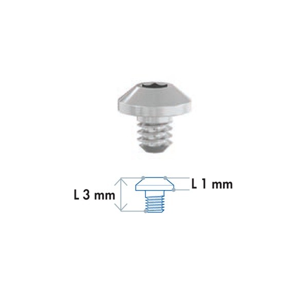 Tornillo de fijación para TADs Leone