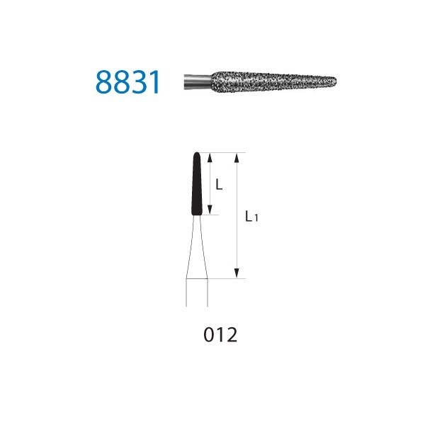 8831.204.012 Fresa Diamante Contra Ángulo 1 ud
