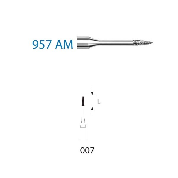 957AM.314.007 Fresa Diamante Turbina 5 Uds