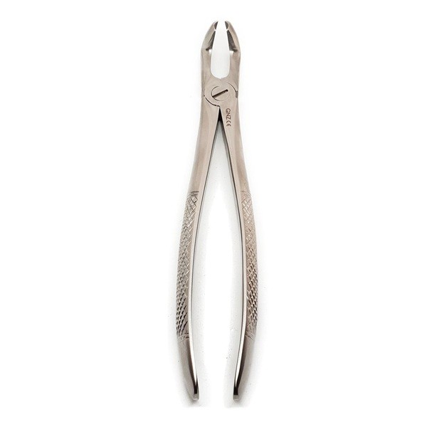 Fórceps Figura 79 Cordales Inferiores GNZ