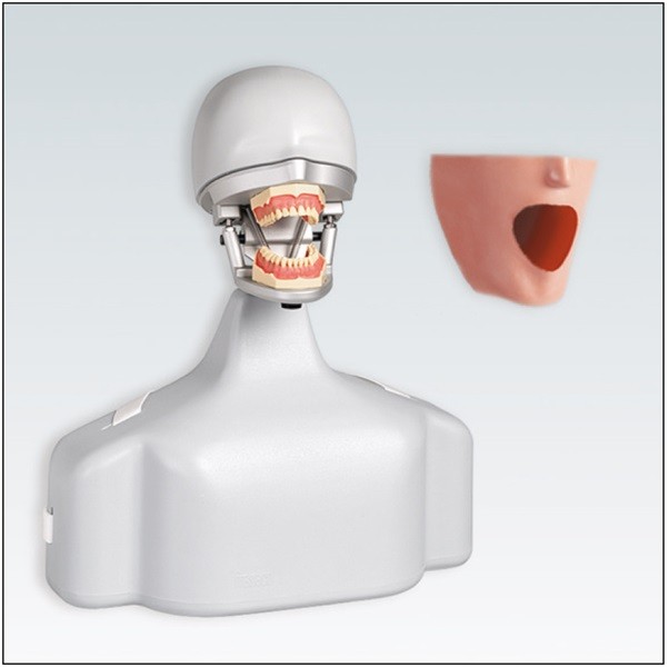 P-6/3 TSE Dispositivo para Ejercicios Odontológicos Frasaco