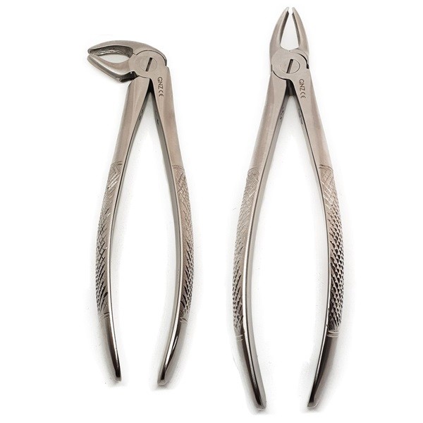 Fórceps Premolares GNZ