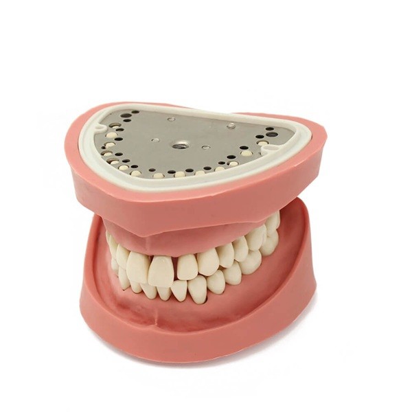 Tipodonto Bader Clónico Imitación KaVo