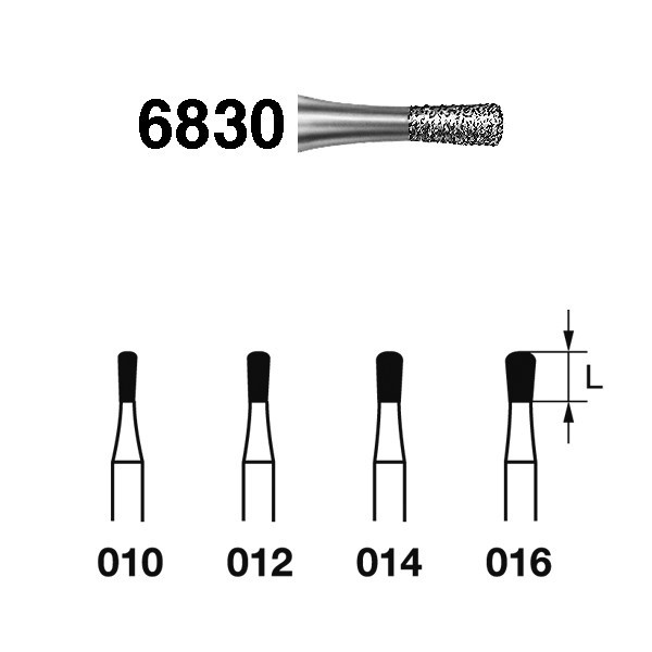 6830.314 Fresa Diamante Turbina 5 Uds