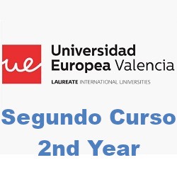 Universidad Europea de Valencia Odontología 2º Cur