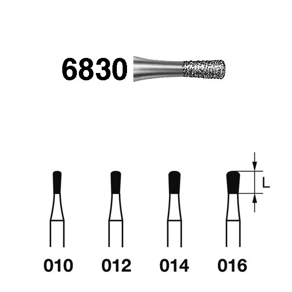 6830.314 Fresa Diamante Turbina 5 Uds