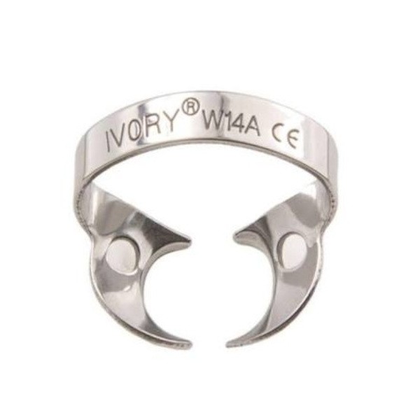 Clamps Ivory 1 ud - W14A_Parcialmente_erupcionados,_grande