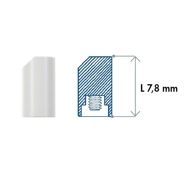 Scan Body para TAD PA Bifásico Leone