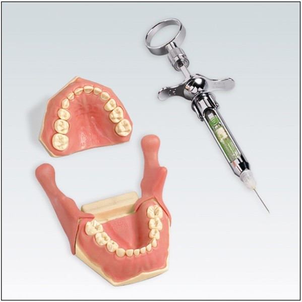 AK6/2IB Modelo de Anestesia para Odontopediatría Frasaco