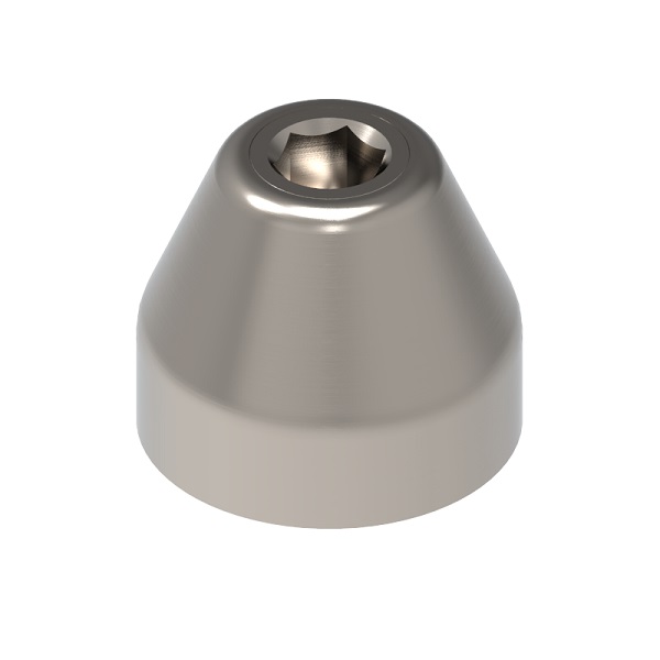 Tapón de Protección