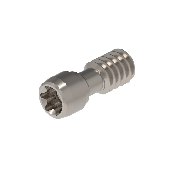 Tornillo Torx